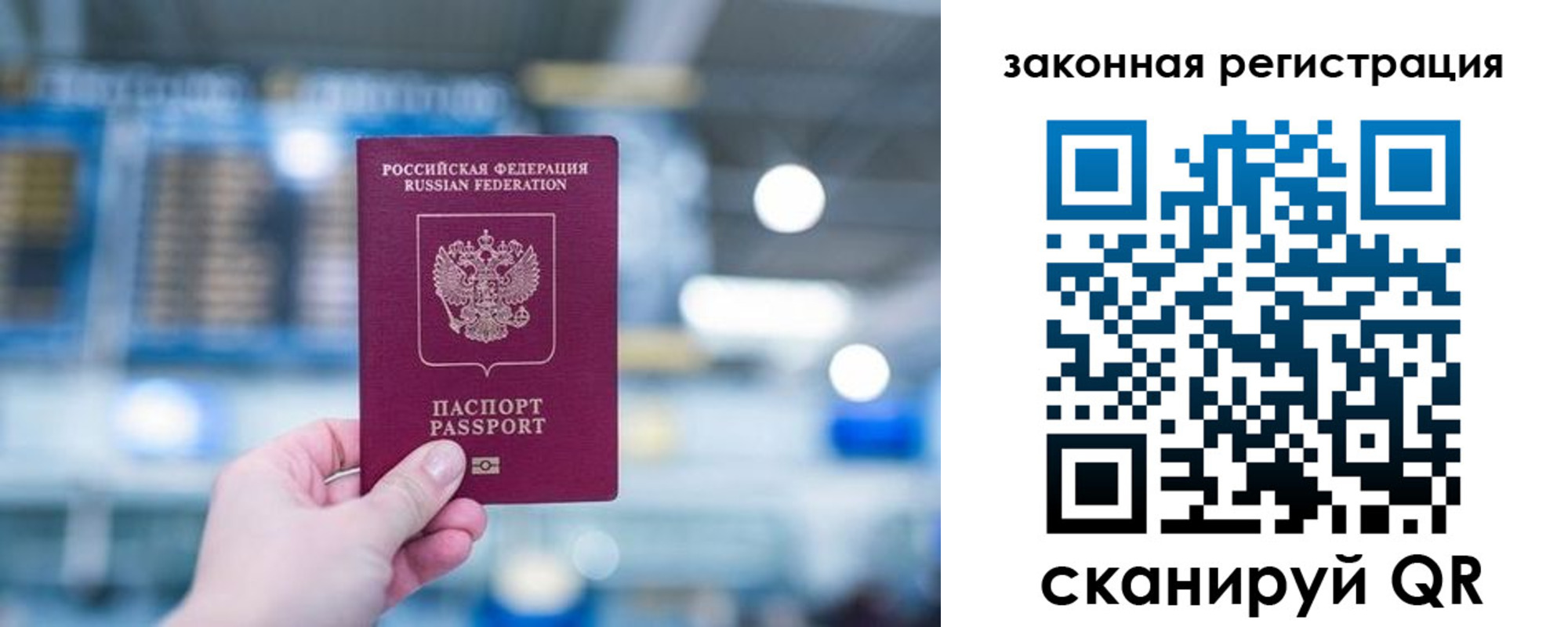 прописка поиск в Сафоново